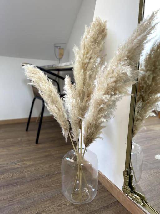 La Massyl - Hypercentre & Proche Appartement